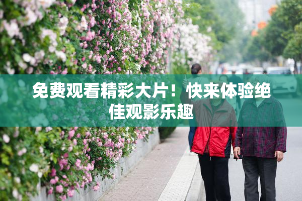 免费观看精彩大片！快来体验绝佳观影乐趣