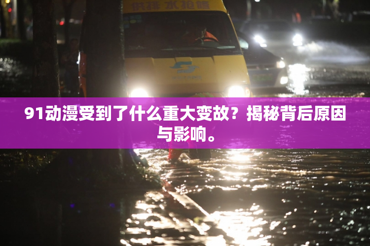 91动漫受到了什么重大变故？揭秘背后原因与影响。