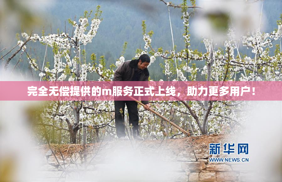 完全无偿提供的m服务正式上线，助力更多用户！