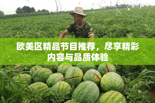 欧美区精品节目推荐，尽享精彩内容与品质体验