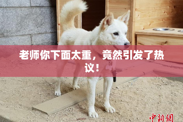 老师你下面太重，竟然引发了热议！