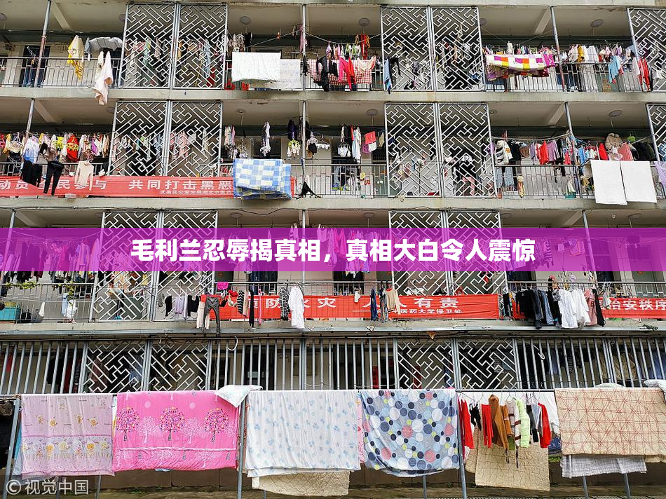 毛利兰忍辱揭真相，真相大白令人震惊
