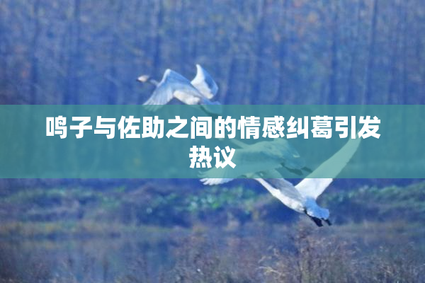 鸣子与佐助之间的情感纠葛引发热议