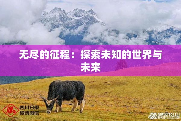 无尽的征程：探索未知的世界与未来