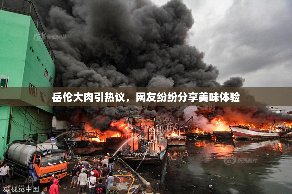 岳伦大肉引热议，网友纷纷分享美味体验