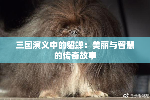 三国演义中的貂蝉：美丽与智慧的传奇故事