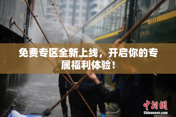 免费专区全新上线，开启你的专属福利体验！