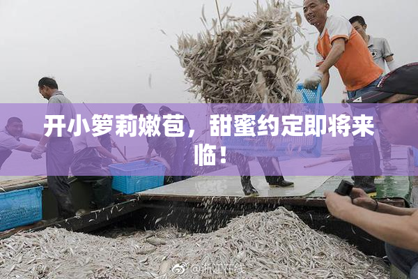 开小箩莉嫩苞，甜蜜约定即将来临！