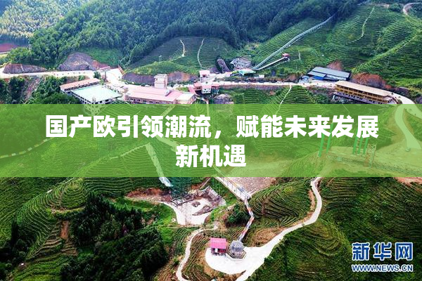 国产欧引领潮流，赋能未来发展新机遇