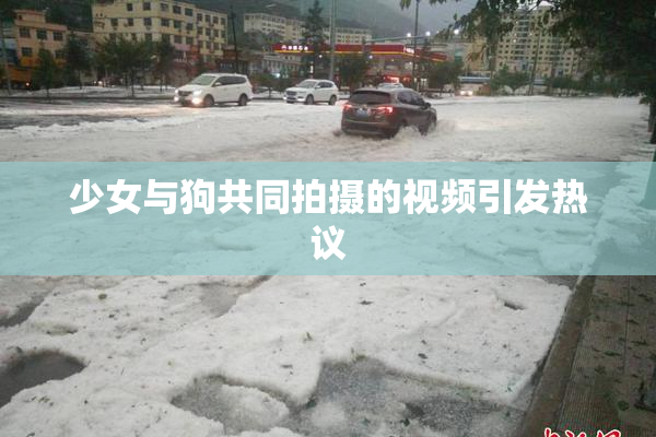 少女与狗共同拍摄的视频引发热议