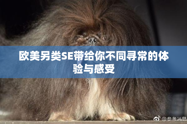 欧美另类SE带给你不同寻常的体验与感受