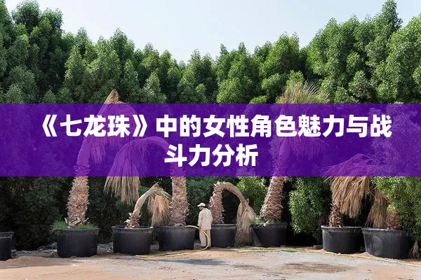 《七龙珠》中的女性角色魅力与战斗力分析