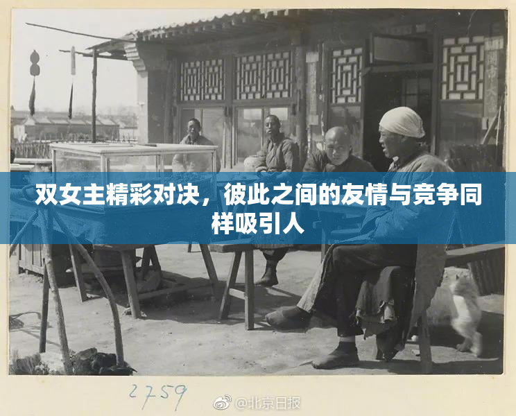 双女主精彩对决，彼此之间的友情与竞争同样吸引人