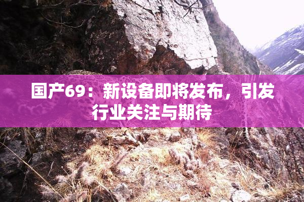 国产69：新设备即将发布，引发行业关注与期待