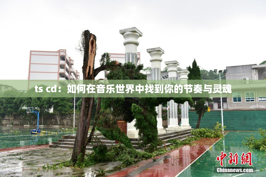 ts cd：如何在音乐世界中找到你的节奏与灵魂