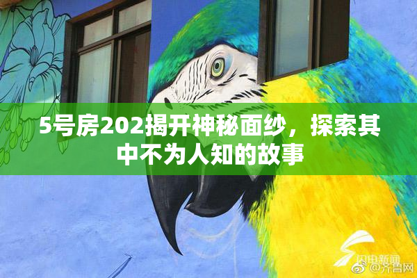 5号房202揭开神秘面纱，探索其中不为人知的故事