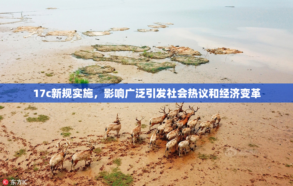 17c新规实施，影响广泛引发社会热议和经济变革