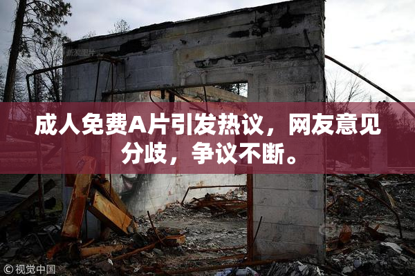 成人免费A片引发热议，网友意见分歧，争议不断。
