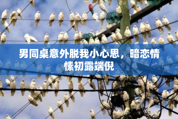 男同桌意外脱我小心思，暗恋情愫初露端倪