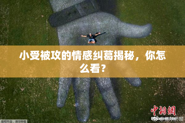 小受被攻的情感纠葛揭秘，你怎么看？