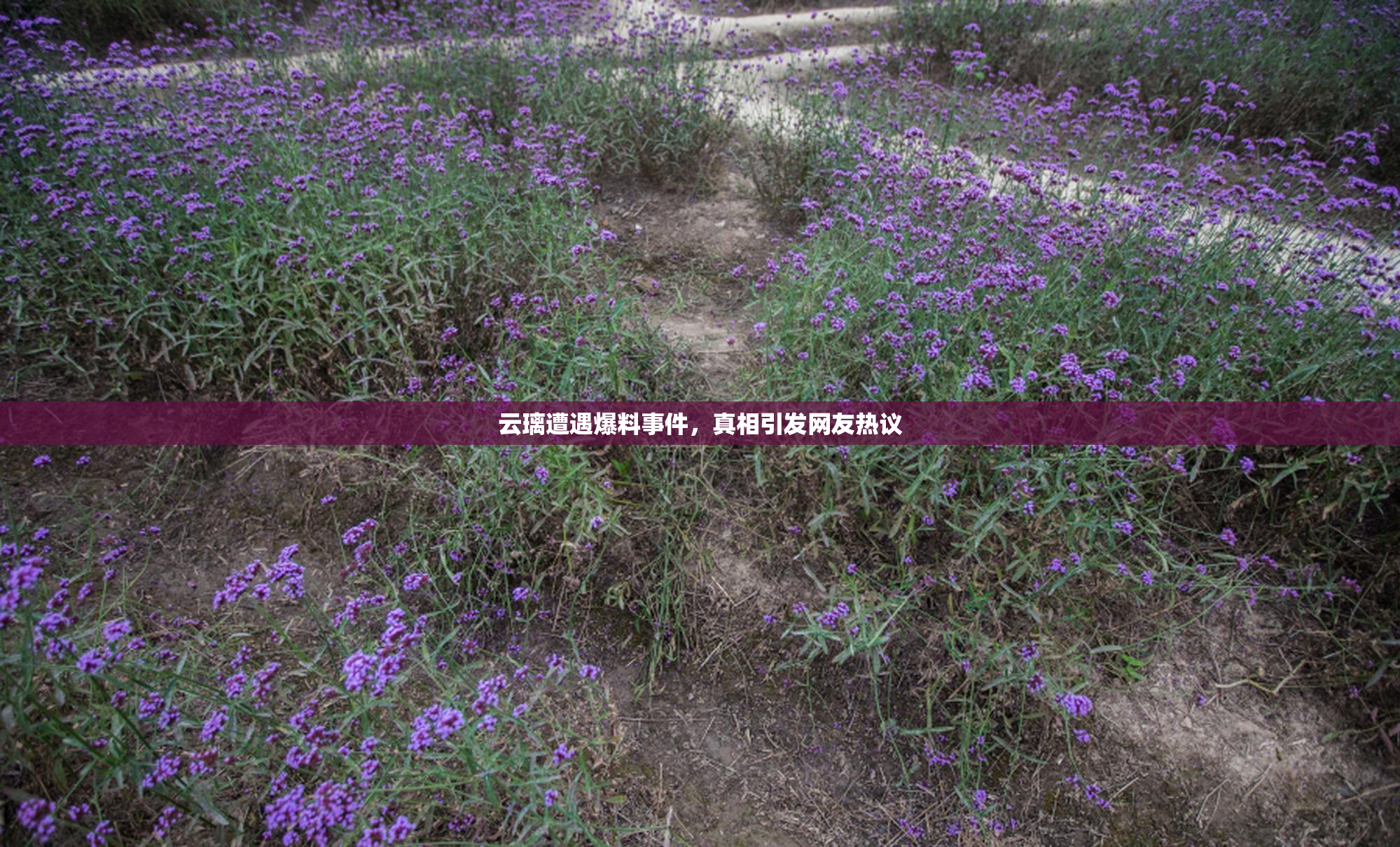 云璃遭遇爆料事件，真相引发网友热议