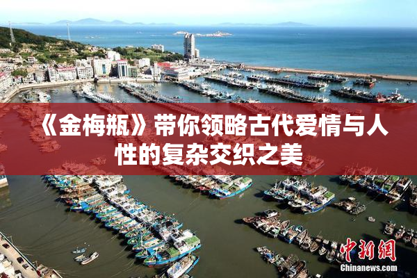《金梅瓶》带你领略古代爱情与人性的复杂交织之美