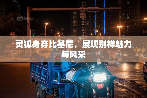 灵狐身穿比基尼，展现别样魅力与风采