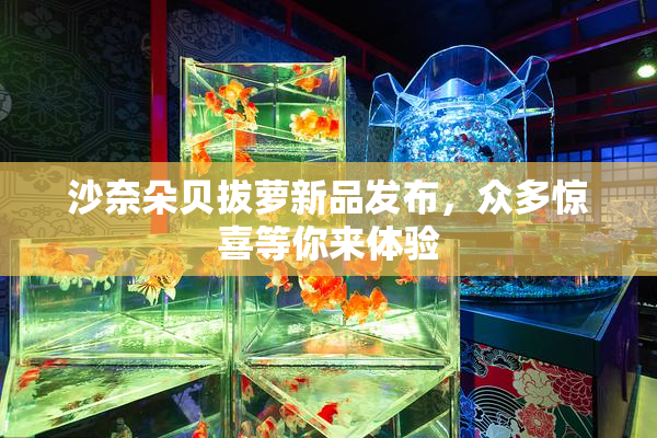 沙奈朵贝拔萝新品发布，众多惊喜等你来体验