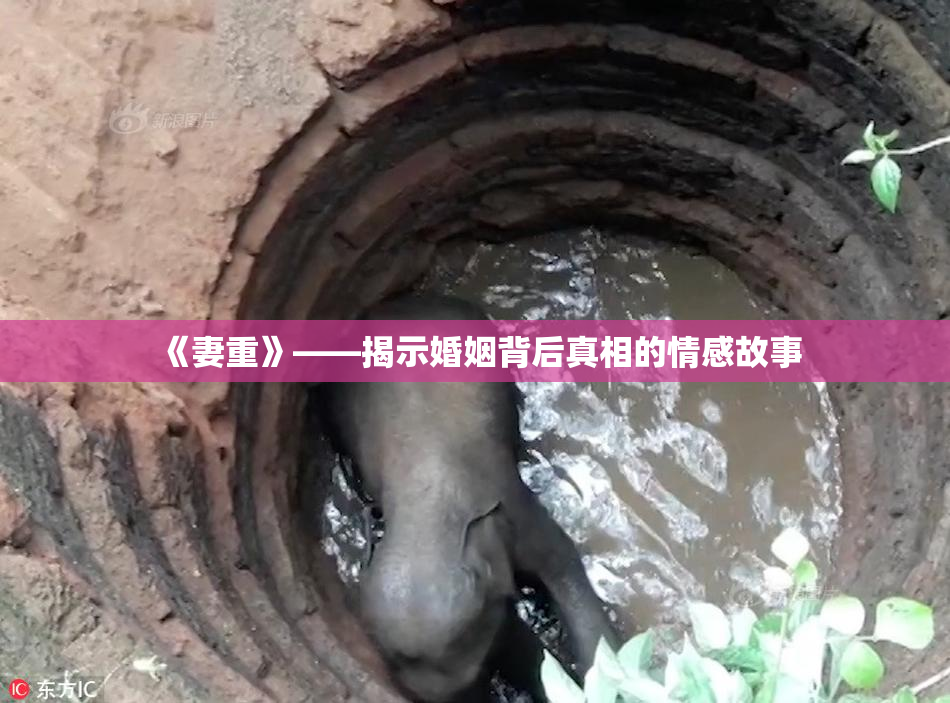 《妻重》——揭示婚姻背后真相的情感故事