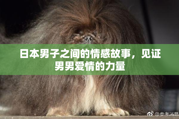 日本男子之间的情感故事，见证男男爱情的力量