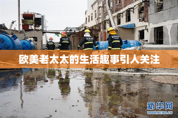 欧美老太太的生活趣事引人关注
