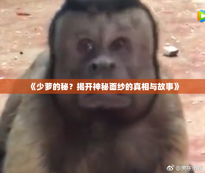 《少萝的秘？揭开神秘面纱的真相与故事》