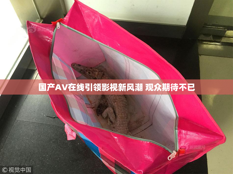 国产AV在线引领影视新风潮 观众期待不已