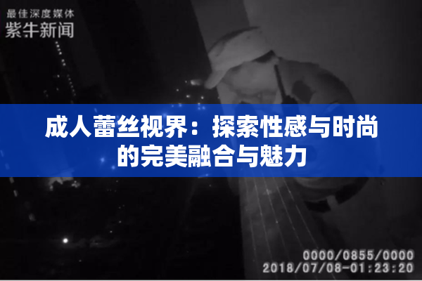成人蕾丝视界：探索性感与时尚的完美融合与魅力