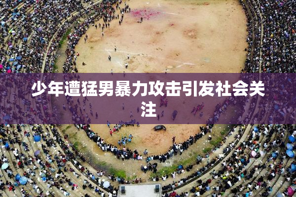 少年遭猛男暴力攻击引发社会关注