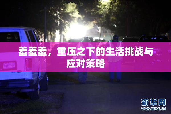 羞羞羞，重压之下的生活挑战与应对策略