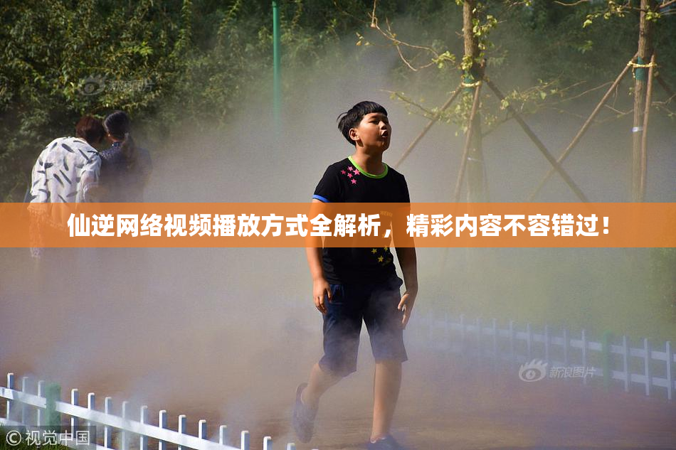 仙逆网络视频播放方式全解析，精彩内容不容错过！