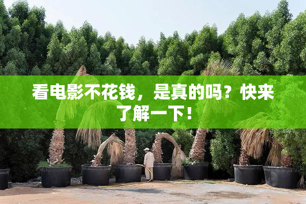 看电影不花钱，是真的吗？快来了解一下！