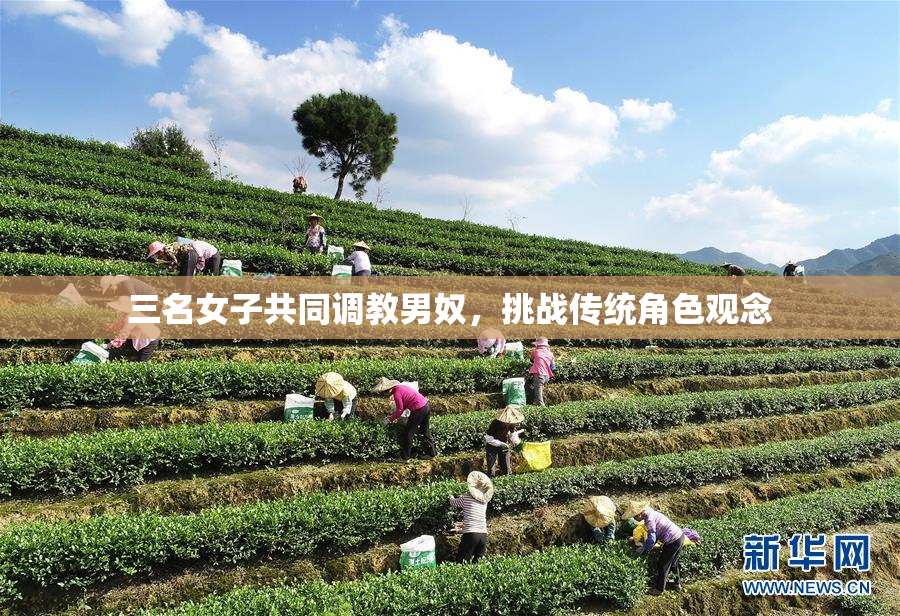 三名女子共同调教男奴，挑战传统角色观念