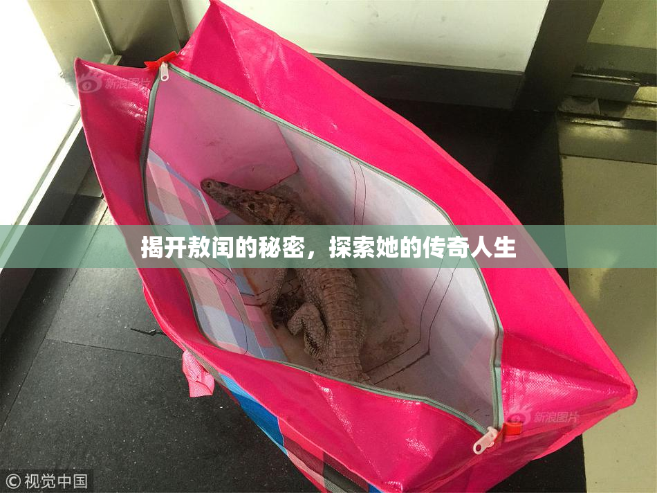 揭开敖闰的秘密，探索她的传奇人生