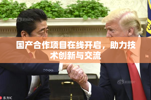 国产合作项目在线开启，助力技术创新与交流