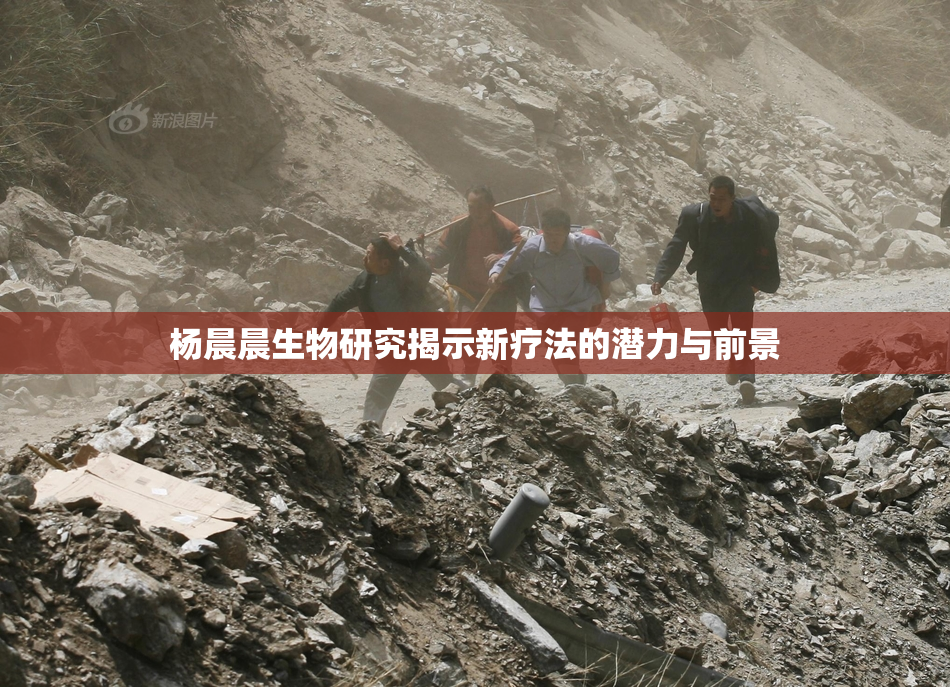 杨晨晨生物研究揭示新疗法的潜力与前景