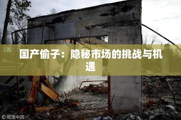 国产偷子：隐秘市场的挑战与机遇