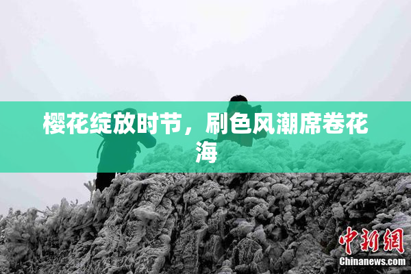 樱花绽放时节，刷色风潮席卷花海