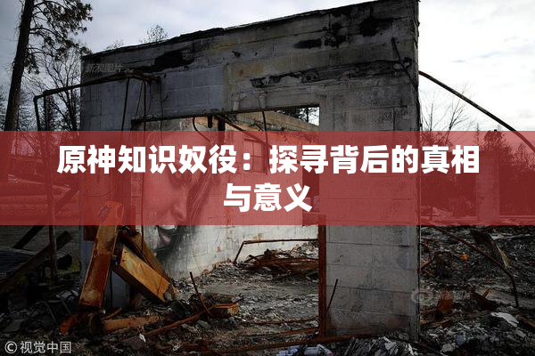 原神知识奴役：探寻背后的真相与意义
