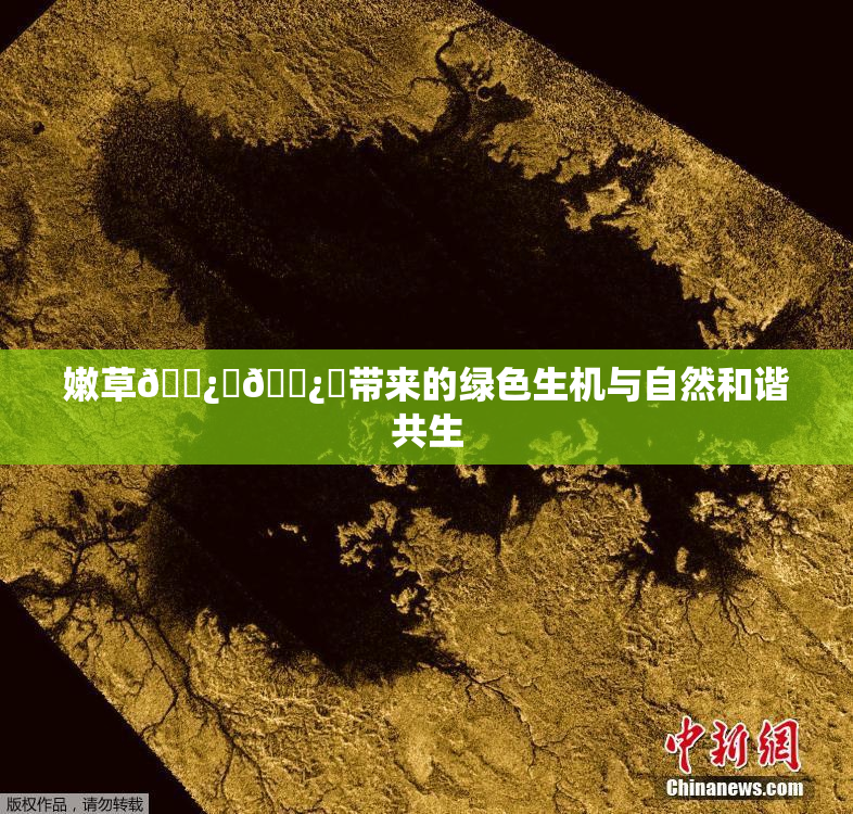 嫩草🌿‌🌿‌带来的绿色生机与自然和谐共生