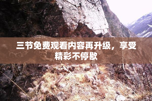 三节免费观看内容再升级，享受精彩不停歇