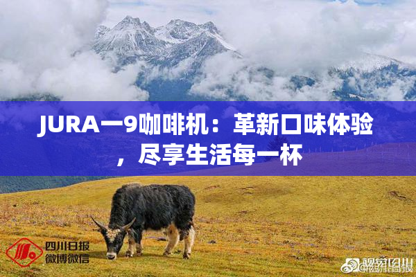 JURA一9咖啡机：革新口味体验，尽享生活每一杯
