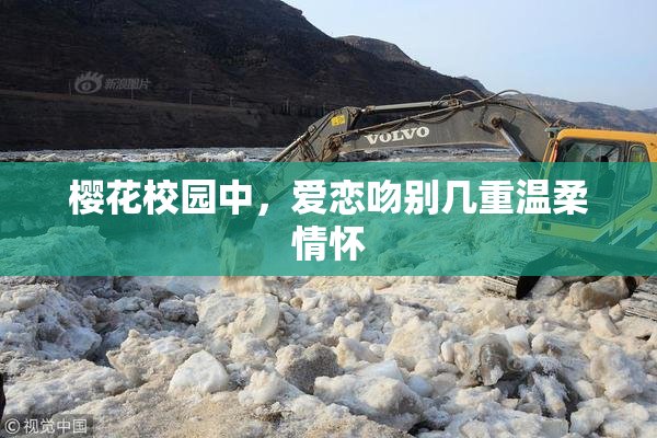 樱花校园中，爱恋吻别几重温柔情怀