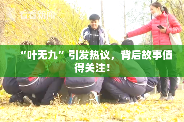 “叶无九”引发热议，背后故事值得关注！